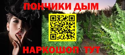 стафф Гатчина
