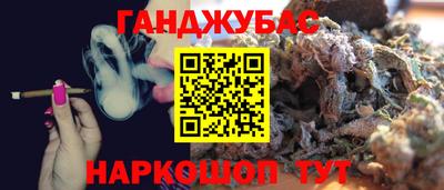 прущие крисы Гай