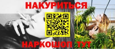 стафф Гатчина