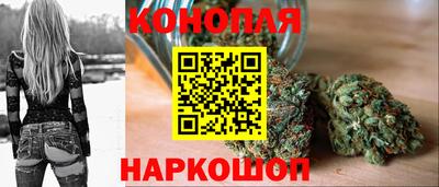 прущие крисы Гай