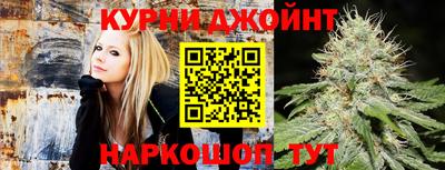 стафф Гатчина