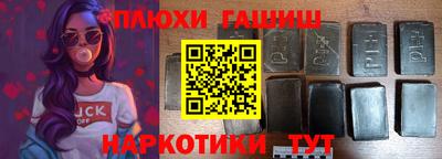 стафф Гатчина
