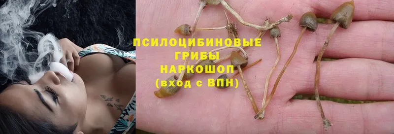 Псилоцибиновые грибы MAGIC MUSHROOMS  Тулун 