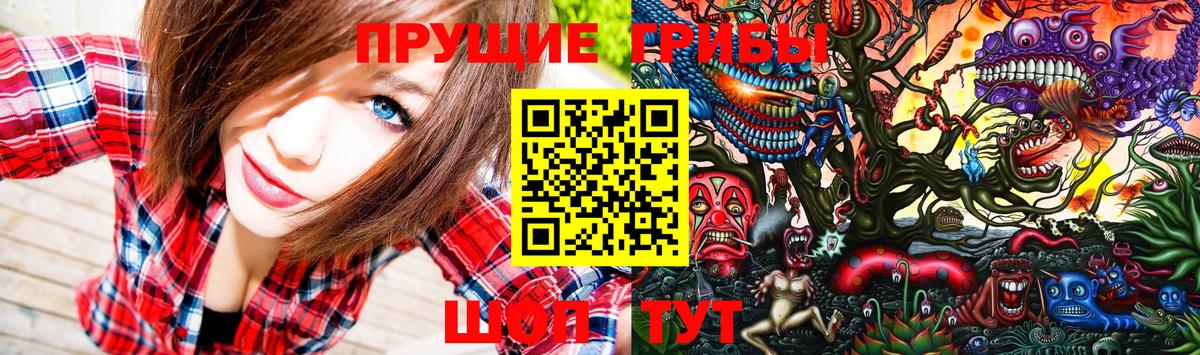 Галлюциногенные грибы прущие грибы Тулун