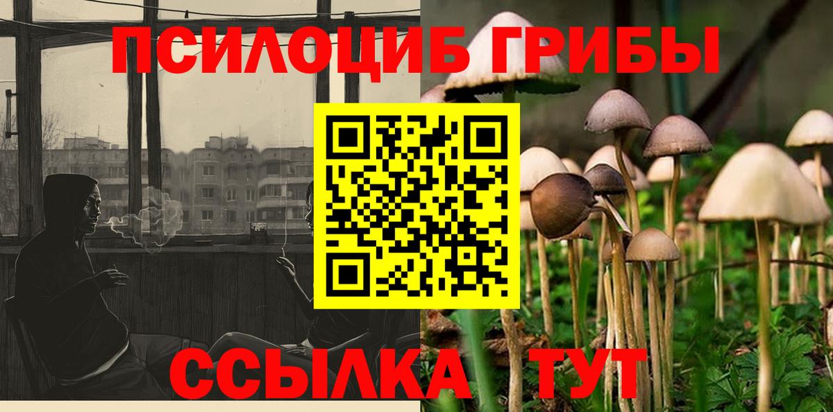 Псилоцибиновые грибы Magic Shrooms  Вход с VPN  Тулун 