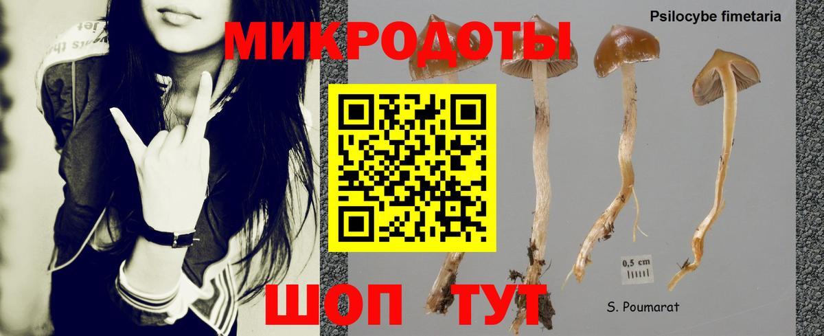 Галлюциногенные грибы мухоморы  где купить наркотик  Тулун 